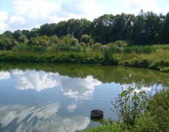 Pathogen reduction in wastewater ponds Pond systems offer excellent treatment