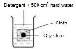 2. Diagram 2 shows the set-up of apparatus used to investigate the cleansing action of soap and detergent on a piece of cloth stained with oil.