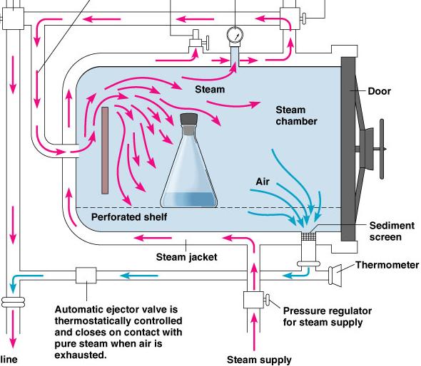 Gravity Sterilizer Operation 1b) 2) 3) 1) Jacket is charged with steam from the steam generator 2) Steam is injected into the chamber & air is forced from the chamber by gravity 3) Once air is