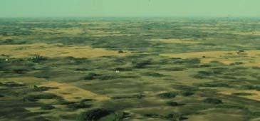 Glaciated Landscape of Northern Prairies Clay-rich glacial