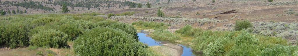 Chance Creek Watershed Using Watershed