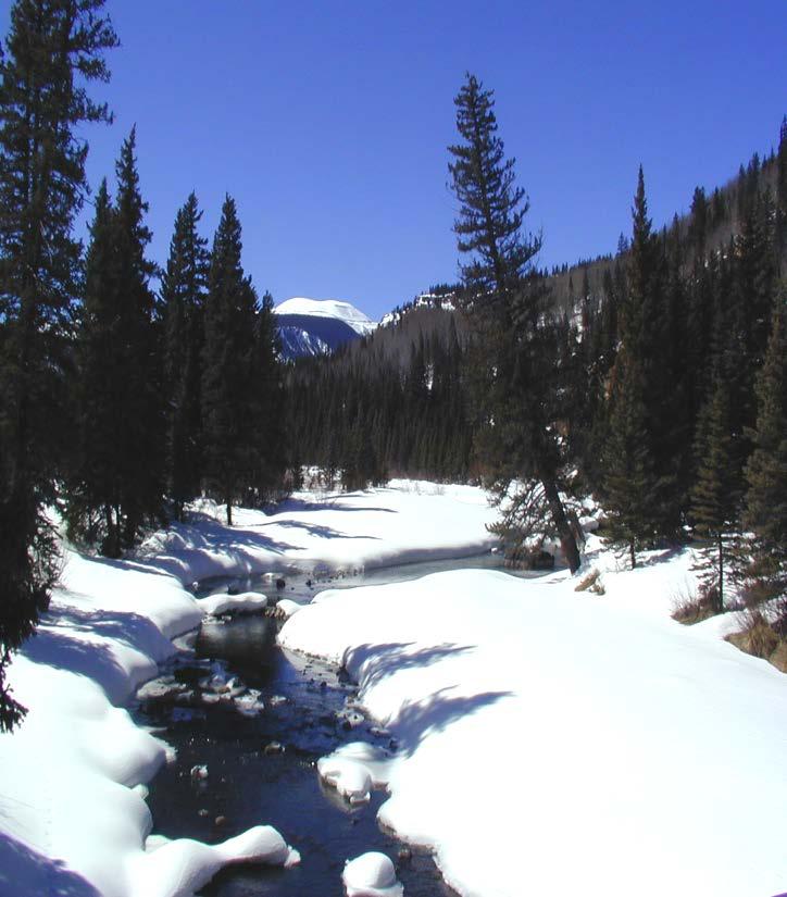 Mountain Hydrology Fluxes Research Questions evapotranspiration precipitation Where & when is water stored? How is it routed through the forested catchments?
