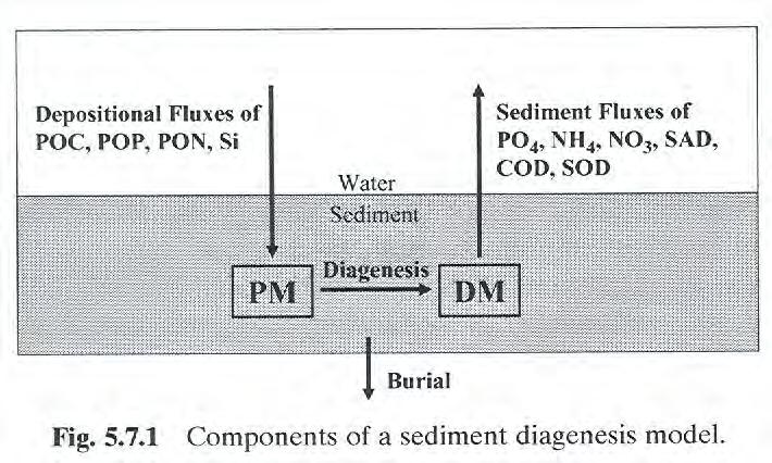 EFDC Sediment Flux Model Biological Production & Deposition of POM POM diagenesis (decay) in bed Sediment
