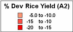 Impact of climate change on Rice Yields A2 Scenario.
