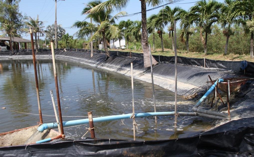 Grow-out pond Reservoir Sludge and water treatment