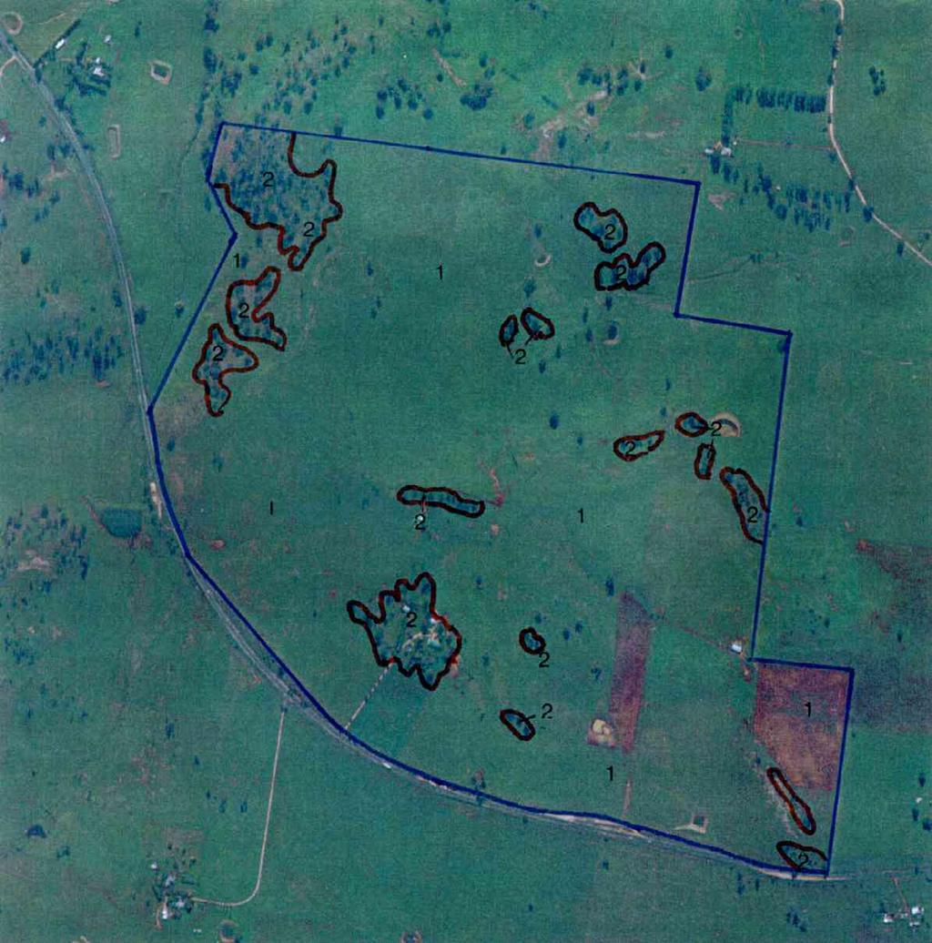 GEOFF CUNNNGHAM NATURAL RESOURCE CONSULTANTS PTY LTD FGURE 1 1 Community 1 - Cleared Lands - Used for Grazing and / or Cultivation 2 Community 2 -