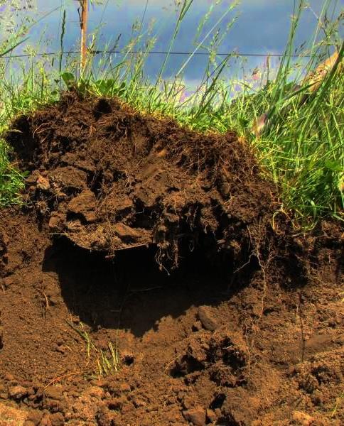 Organic Matter Improves Soil Quality Soil moisture Nutrient cycling