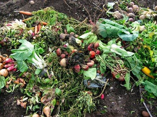 Successful Composting Blend the materials