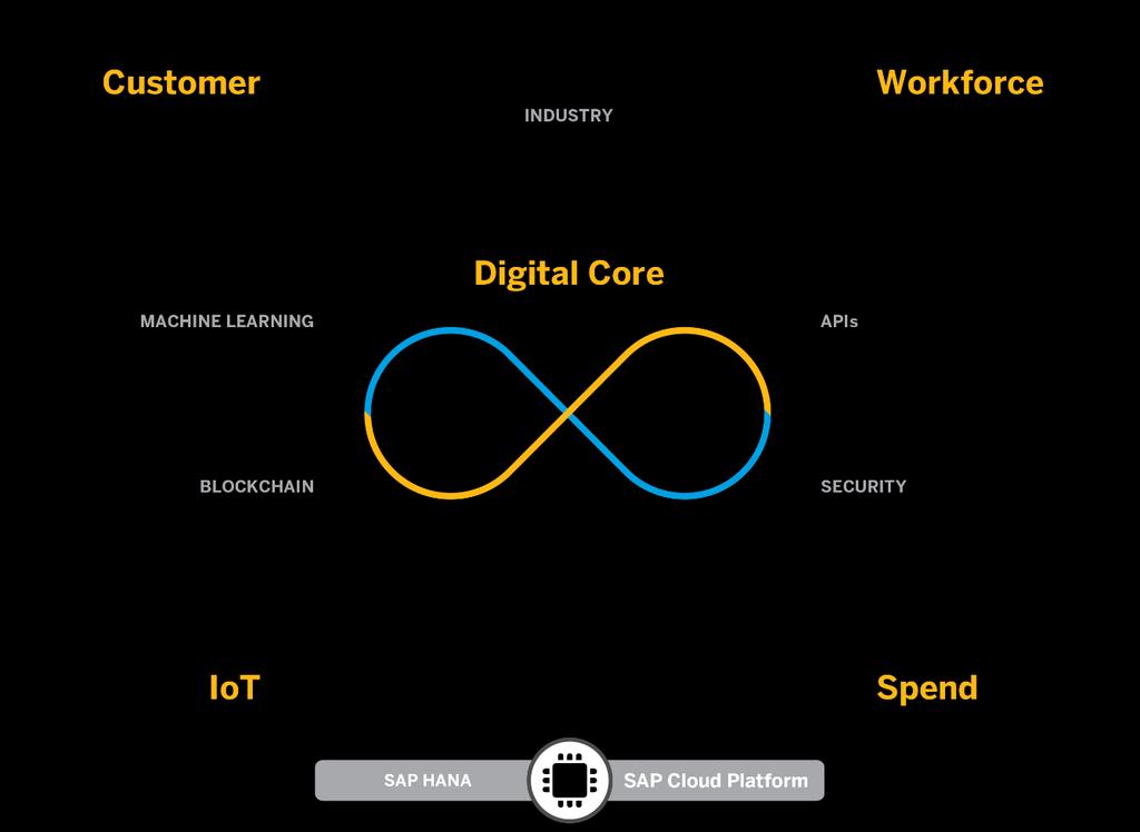 SPEND CATEGORIES BUYERS SUPPLIERS The SAP Framework for Digital