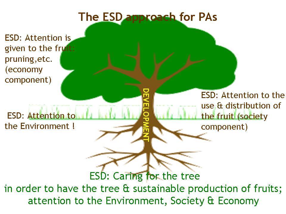 (SOCIETY) ESD: Attention to ΕSD: the Environment Caring for the tree in!