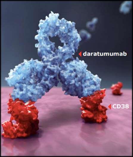 TARGET = CD38 CD38 is a membrane protein with multiple functions (enzyme, adhesion, signaling)