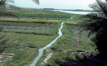 The Euphrates River still irrigates fields in Iraq today. Gradually, villages came to depend on one another to build and maintain this complex irrigation system.