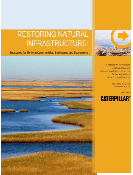 Caterpillar and Natural Infrastructure Beginning 2015 Restoring Natural Infrastructure Summit, NYC, November 2015 150 participants representing Caterpillar, dealers, customers, NGOs, federal