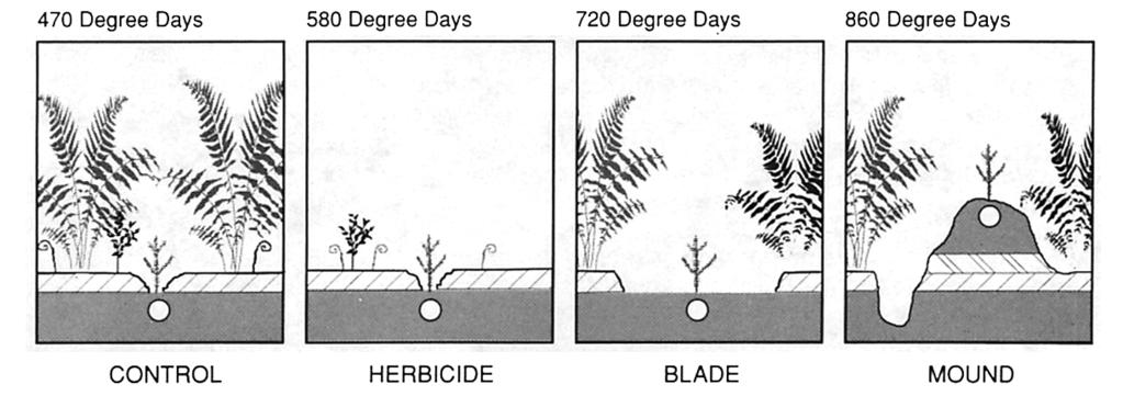 FIGURE 13. Range of diurnal soil temperature variation in a bare mineral soil and a mineral soil covered with a 10 cm deep organic horizon. (Adapted from Cochran 1969.
