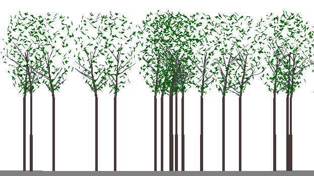 What about edge effects and forest structure in matrix?