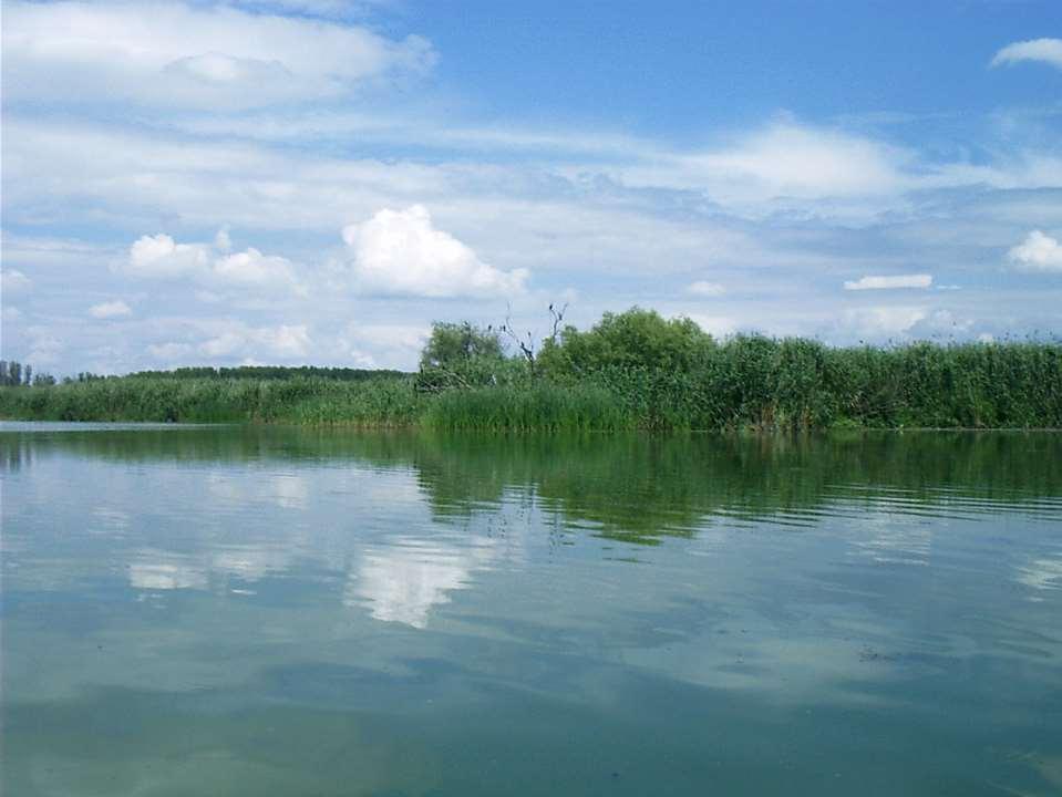 Wetland restoration projects in the Danube Delta