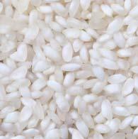 This results in cooler and cleaner kernels free from bran. It also helps to improve the performance of the polishing section.