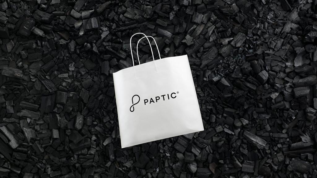 PAPTIC IS TARGETING INDUSTRIAL SCALE -UP FINANCINGQ4 /2017 START-UP Q1/2019 CLOSE EQUITY ROUND OF 10 MILLION