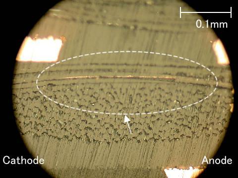 Photo 4. Metallurgical microscope image Photo 5. EPMA Cu mapping image (Sample 1) (Sample 1) 5.
