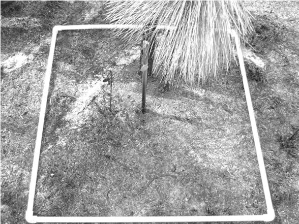Measurements: Quadrats Measurements: Quadrats The Daubenmire method places a 20x50 cm quadrat along a tape on a permanently located transect.
