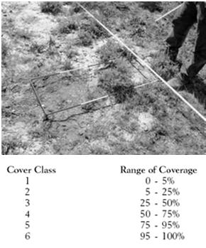 ground - The marks on the 20 side are then used to estimate cover - Total cover is 100% Measurements: Distance Measures Density can be estimated using the wandering quarter distance method