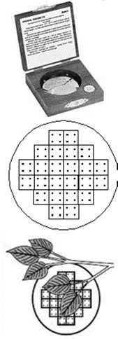 2 acres Points: May use denser grids to increase precision or when the region is small Should use average of several random