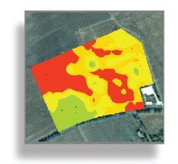 analysis from soil samples Imaging (optical satellite or drone) + intra-plot heterogeneity + consider plant