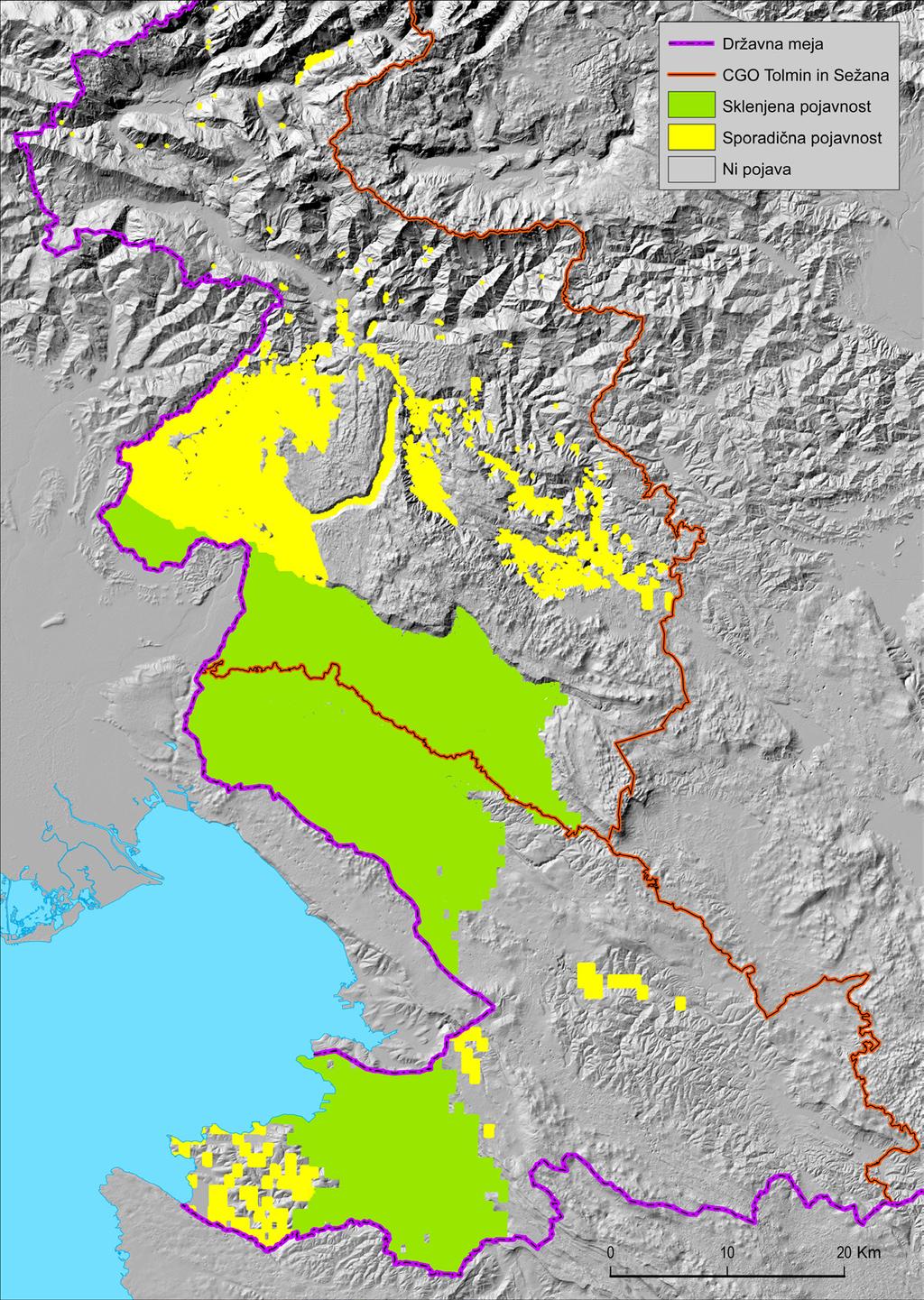 Slika 2: Potencialna razširjenost pajesena na Primorskem. 4. Sklepi Raziskava prikazuje model potencialnega širjenja visokega pajesena v gozdove na Primorskem.