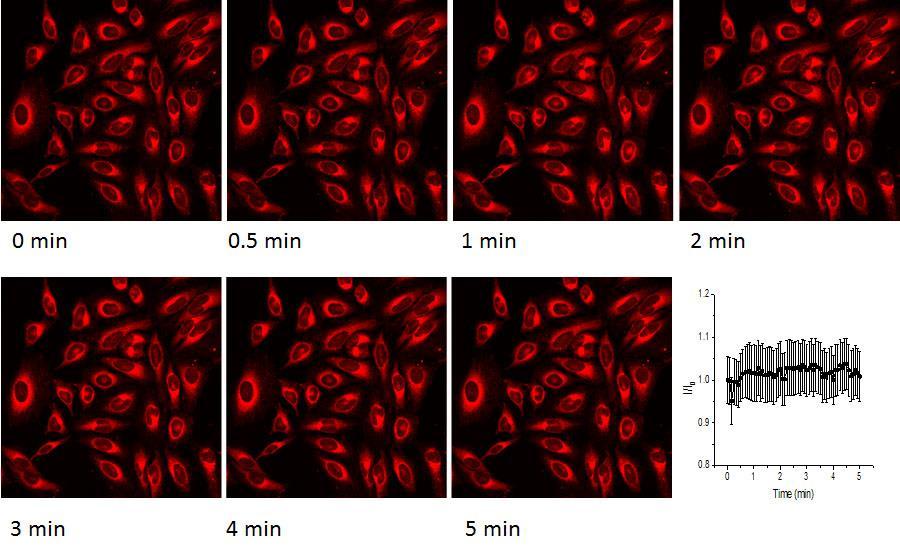 Figure S5A. Time-dependent fluorescence images of HeLa cells in EMEM containing 10M of ionomycin and 20 mm of KCl.
