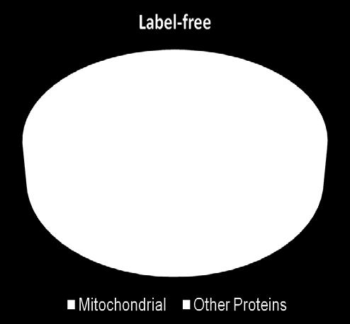 Figure 3 shows a bar chart summarizing the number of peptides and proteins identified and quantified by label-free analysis and a pie chart showing the distribution of mitochondrial proteins