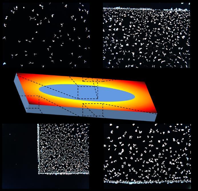 Figure S6. Optical micrographs of the rectangular substrate at different positions (Image width = 3.56 mm).
