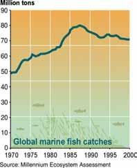 Capture Fisheries 25% of commercially exploited marine fish stocks are