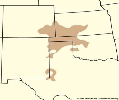 Erosão do Solo Colorado Kansas Dust Bowl Oklahoma New Mexico Texas MEXICO Where Eroded Soil Goes: Sediments Also Cause Environmental Problems Ways to slow erosion: