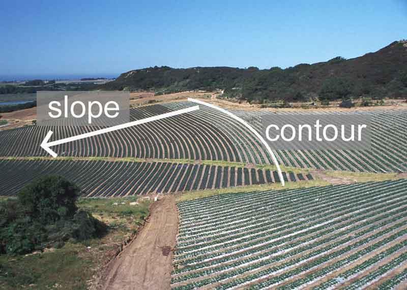 Contour farming crops are planted