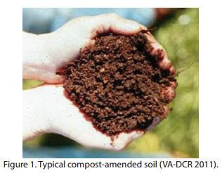 Soil Restoration Fertilizers Organic Compost (animal manure, plant material), bone meal, peat