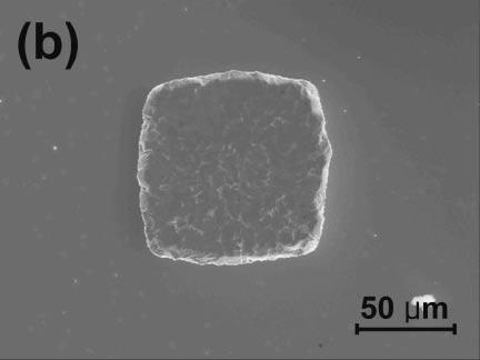 NCA trapped in the Sn interface. Bonding was made using reflowed bumps and NCA-A. Spherical silica fillers embedded on the Sn bump surface are clearly seen.