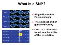 A primer on SNPs part 1 Single nucleotide polymorphisms (SNPs) offer the prospect of a systematic, predictive, genetically-based approach to medicine and pharmaceutical development.