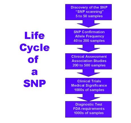 Figure 2. Life-cycle of a SNP. represent the basic core plans of what constitutes a human being.