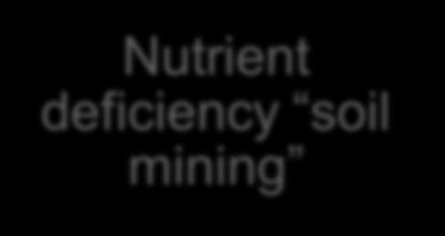 Nutrient Supply and