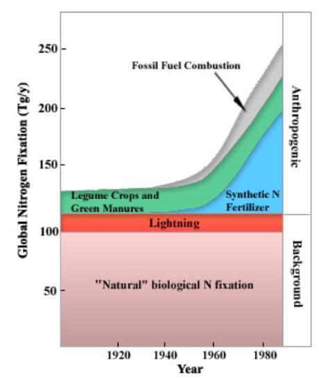 In the past 50 years. increases in anthropogenic nitrogen.