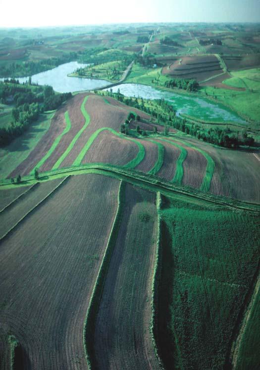 What is the role of Terraces, Contour Field Buffers, Grass