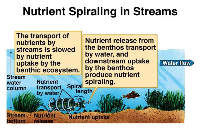 Spiraling Length = Length of stream required for a nutrient atom to complete a