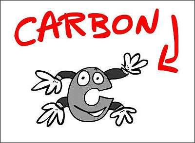 HOW IMPORTANT IS CARBON for LIFE? Carbon is the ELEMENT that is the BACKBONE for ALL LIFE on Earth. In other words, we are CARBON-BASED life forms.