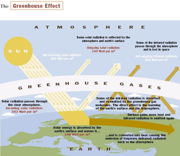 WHAT ARE GREENHOUSE GASES?