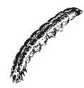 Fall Armyworms acephate (OP) Orthene 90S emamectin benzoate (AV) Denim 0.16EC flubendiamide (D) Belt Amount of Formulation per Acre 1.1 lb. 8 12 oz. 2 oz. 1.0 0.01 0.015 0.0625 16 10.