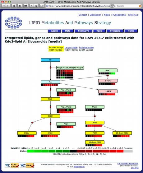 lipidmaps.org Dr.