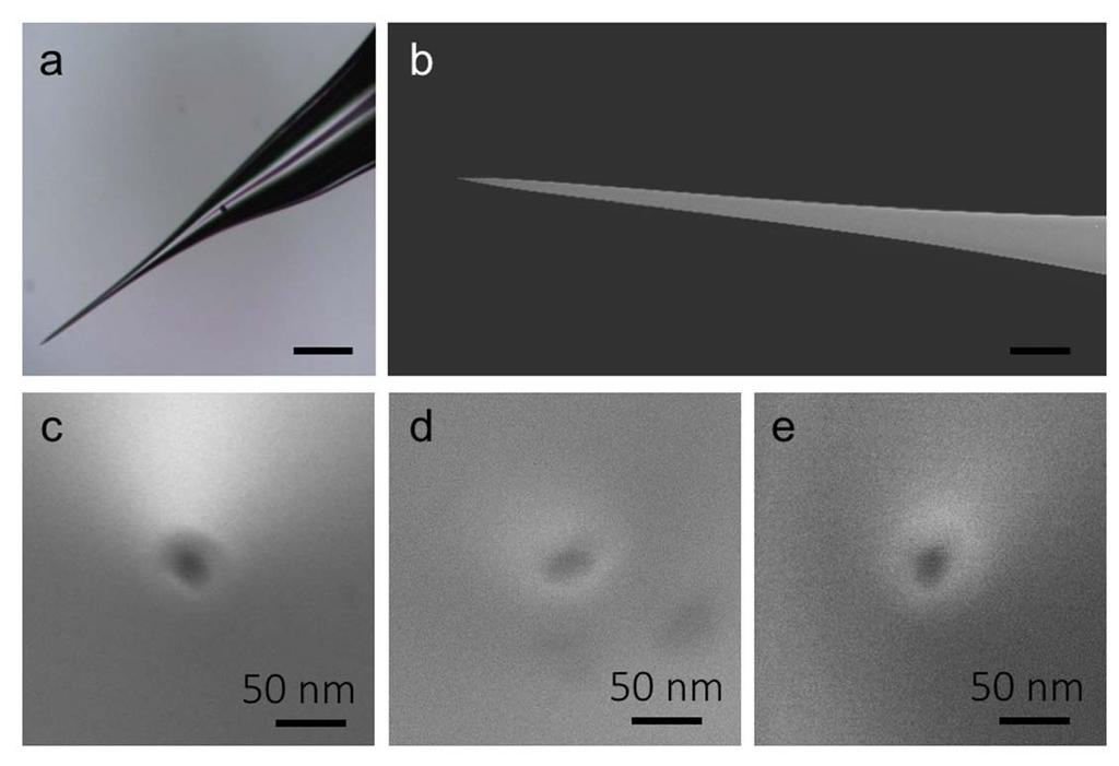 Supplementary Figure 2. Optical and SEM imaging of the nanopipette.