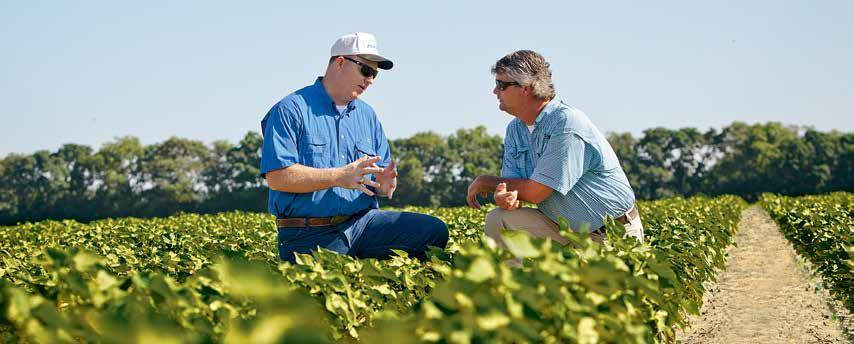 Read the Dow AgroSciences Cotton Product Use Guide for refuge and IRM requirements.