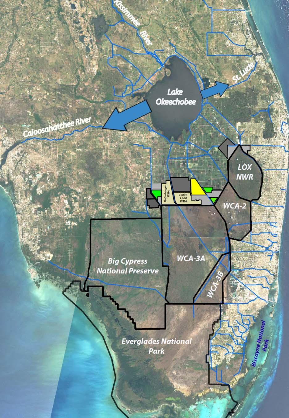Increased Everglades Inflows via Reduced Northern Estuary Regulatory Releases Enhanced