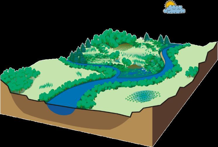 SWAT model (Soil and Water Assessment Tool) Water balance SW t SW t ( R Q E W Q 0 day surf a seep gw i 1 SW t = Final soil water content (mm) SW 0 = Initial soil water content on day i (mm) R day =